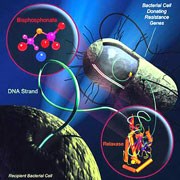 Hành động của thế giới là cần thiết để ngăn chặn lan rộng sự đề kháng với kháng sinh