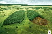 Thỏa thuận mới về biến đổi khí hậu: Chiến thắng quan trọng trong lịch sử bảo vệ sức khỏe con người 