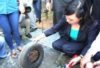 Bộ Y tế chỉ đạo tăng cường hoạt động phòng chống dịch bệnh do Zika virus