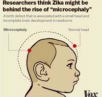 Hướng dẫn giám sát và phòng chống bệnh do virus Zika