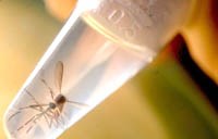 Điểm tin y tế từ các Báo ngày 1/2 đến 7/2 năm 2016