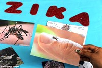 Phòng chống muỗi Aedes: một mũi tên trúng nhiều đích trong kiểm soát dịch bệnh