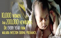 Những gánh nặng, khó khăn và thách thức trong kiểm soát sốt rét ở phụ nữ mang thai