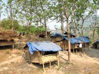 Bảo vệ căn lều tạm, nhà tạm để phòng bệnh sốt rét