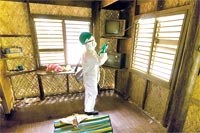 WHO: Độ bao phủ các biện pháp phòng chống vector trên thế giới