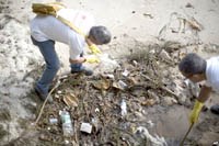 Để ngăn chặn Zika, muỗi Aedes Aegypti phải được khống chế