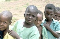 WHO: Cập nhật thông tin các bệnh giun truyền qua đất