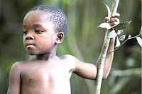 Ngày sốt rét thế giới năm 2016: khởi đầu hướng tới mục tiêu loại trừ sốt rét vào năm 2030 theo SDGs 