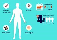 WHO: Cập nhật tình hình dịch bệnh do vi rút Zika 