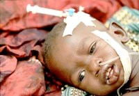 Bài học kinh nghiệm chẩn đoán và điều trị từ một số trường hợp tử vong sốt rét