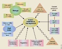 Một cuộc chạy đua về mặt thời gian nhằm kiểm soát sự đề kháng sốt rét