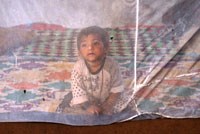 Phát minh xà phòng xua muỗi nhằm loại bỏ mối đe dọa sốt rét ở châu Phi