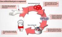 Công nghệ xử lý máu mới có thể làm giảm nguy cơ mắc sốt rét sau khi truyền máu