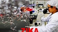 Zika: vấn đề hàng đầu trong chương trình nghị sự của WHA và cuộc chiến tài trợ tại Hoa Kỳ
