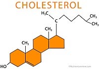 Dùng cholesterol làm tắc nghẽn đường đi của ký sinh trùng sốt rét trong mạch máu 