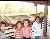 Dân di cư  và di biến động (MMPs) ở Campuchia qua góc nhìn chiến lược phòng chống và loại trừ sốt rét