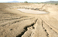 Hội nghị toàn cầu đặt ra chương trình hành động về sức khỏe nhằm thực hiện thỏa thuận Paris