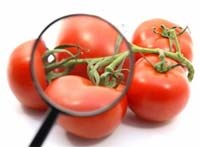 Điểm tin y tế từ các báo ngày 12/7 đến 15/7 năm 2016