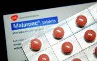Bước đột phá “thú vị” trong sử dụng thuốc sốt rét chống bệnh ung thư