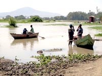 Bằng cách nào mà việc xây dựng các đập thủy điện mới làm gia tăng gánh nặng bệnh sốt rét ở châu Phi