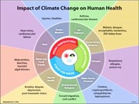 Tác động biến đổi khí hậu tới sức khỏe-vấn đề nan giải và thích ứng