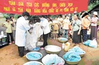 Tỉnh Quảng Trị thực hiện đồng bộ các giải pháp phòng chống và loại trừ sốt rét 