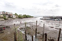 Colombia: Sốt rét do P.falciparum lan rộng cả nước