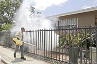 Florida thông báo ca bệnh Zika cách Miami hàng trăm dặm
