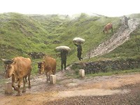 Quỹ toàn cầu cung cấp 3,7 triệu đô la để thanh toán sốt rét ở Bắc Triều Tiên