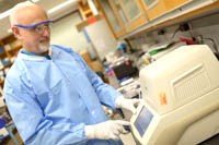 Mayaro-căn bệnh mới do muỗi truyền ở Haiti