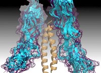 Nghiên cứu vaccine chống lại vi khuẩn 