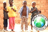 Truyền thông giáo dục, chủng ngừa tiến tới loại trừ bệnh dại   