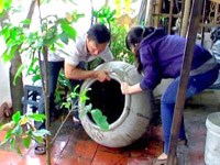 Để diệt bọ gậy muỗi Aedes có hiệu quả