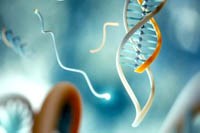 Gen vi khuẩn có thể làm giảm nhẹ mức độ nghiêm trọng bệnh sốt rét