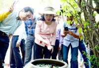 Điểm tin y tế từ các báo ngày 1/11 đến 2/11 năm 2016