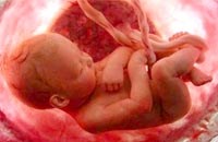 Bất thường và dị tật bào thai cần được phát hiện, xử trí theo quy định