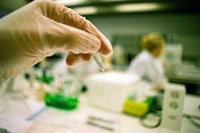 Gánh nặng bệnh lao toàn cầu và Chiến lược chấm dứt bệnh lao của WHO