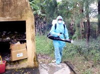 Điểm tin y tế từ các báo ngày 15/11 đến 16/11 năm 2016