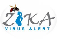 Cuộc chiến zika sau khi kết thúc tình trạng khẩn cấp y tế toàn cầu
