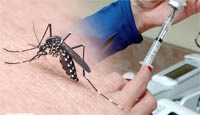 Sử dụng vaccine sốt Dengue hiệu quả ở khu vực này nhưng nguy hiểm ở khu vực khác
