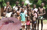 Góc nhìn đa chiều về tình hình sốt rét thế giới và Việt Nam năm 2016