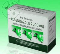 Cập nhật tác dụng của các dẫn xuất từ Benzimidazole chống giun sán trong bệnh lý hệ tiêu hóa và tim mạch
