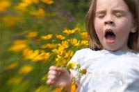 Phòng ngừa hen phế quản dị ứng 