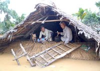 Tác động biến đổi khí hậu năm 2016 với sức khoẻ và dịch bệnh do véc tơ truyền