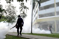 Các biện pháp diệt muỗi bằng hóa chất không hiệu quả trong cuộc chiến Zika