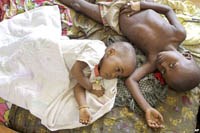 ‘Superbugs’ kháng thuốc đang đe dọa nỗ lực phòng chống sốt rét toàn cầu