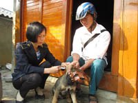 Khống chế và tiến tới loại trừ bệnh dại ở Việt Nam