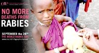 Đừng để thêm nhiều người chết vì bệnh dại