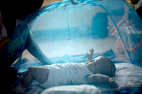 Một châu Phi không còn sốt rét đang trong tầm tay