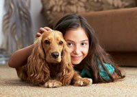 Dị nguyên nguồn gốc động vật có thể gây dị ứng